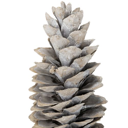 Itens Pinhas de açúcar caiadas de branco 20cm - 30cm