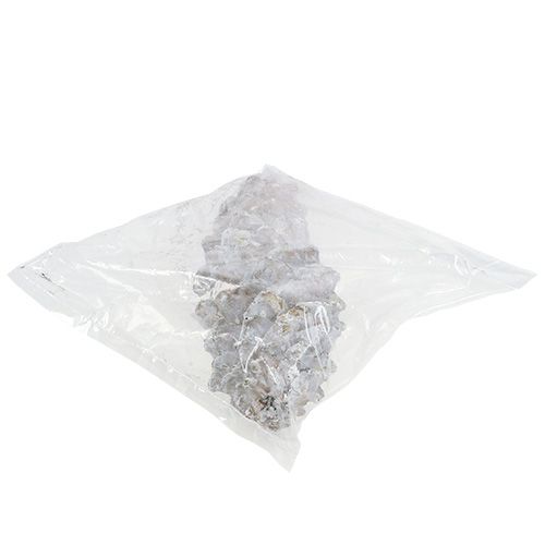 Floristik24 Cones de pinheiro-açucareiro, caiadas de branco 20cm - 30cm