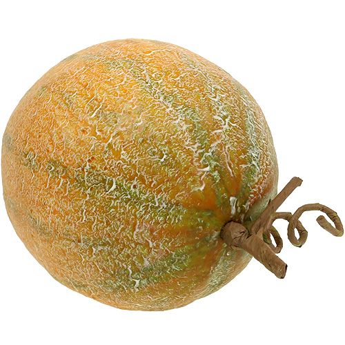 Floristik24 Melão decorativo cantalupo Ø14cm