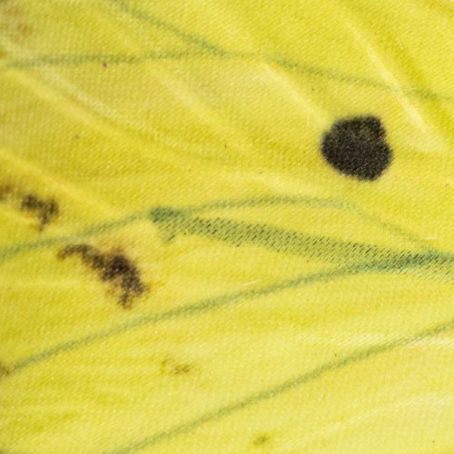 Itens Ramo em forma de borboleta, decoração artística de primavera para interiores, 75 cm