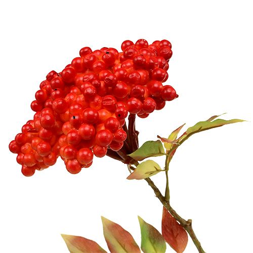 Floristik24 Ramo com bagas laranja 53cm
