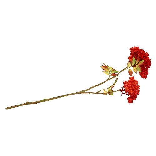 Floristik24 Ramo com bagas laranja 53cm
