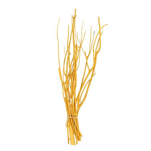 Floristik24 Ramos Deco Mitsumata amarelo 45-60cm 12p