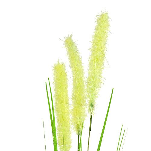 Floristik24 Cebola 68 cm verde 6 unidades