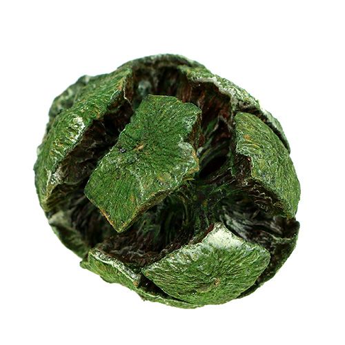 Floristik24 Cones de cipreste 3cm verde 500g