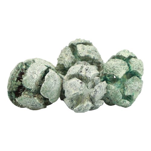 Itens Cones de cipreste fosco decoração natural 3cm verde 500g
