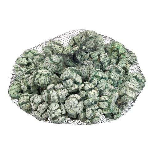 Itens Cones de cipreste fosco decoração natural 3cm verde 500g