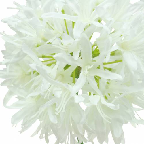 Itens Cebola Ornamental Allium branco artificial Ø12cm Alt.62cm