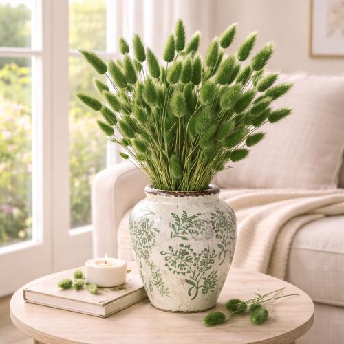 Itens Lagurus seco (rabo-de-lebre) 65-70cm 100g