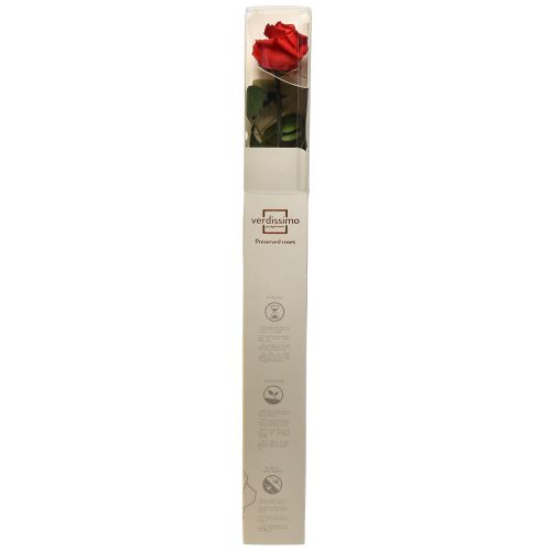 Itens Rosa Infinity com Folhas Preservadas Amorosa Vermelho C54cm