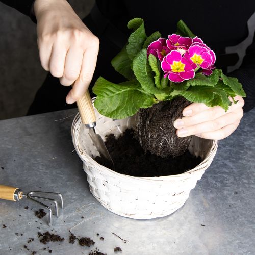 Itens Cestas de vime decorativas para design de interiores versátil, 20 cm, conjunto de 8 peças