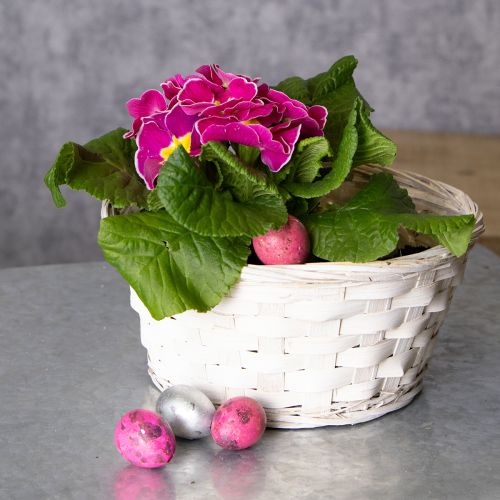 Itens Cestas de vime decorativas para design de interiores versátil, 20 cm, conjunto de 8 peças