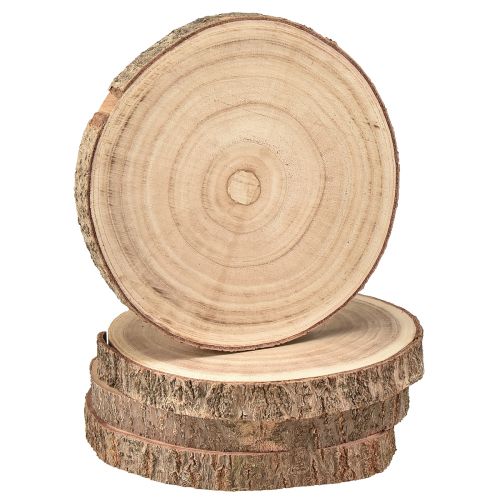 Floristik24 Disco de árvore Paulownia decoração em madeira natural Ø17-21cm 4 un