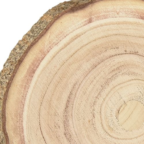 Floristik24 Disco de árvore Paulownia decoração em madeira natural Ø17-21cm 4 un