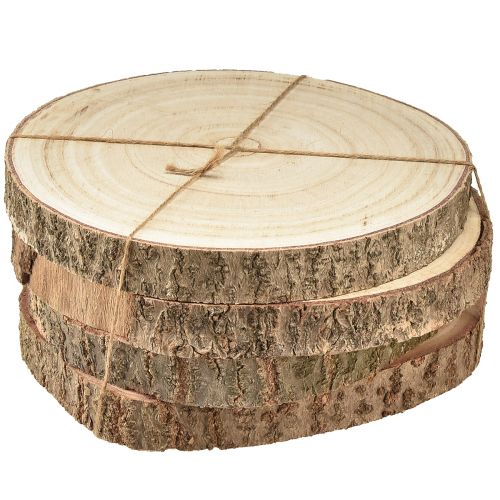Floristik24 Disco de árvore Paulownia decoração em madeira natural Ø17-21cm 4 un