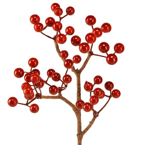 Floristik24 Ramos de frutas vermelhas brilhantes - ideais para decorações festivas, 30 cm - conjunto de 6