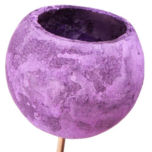 Floristik24 Copo Bell em palito Decoração exótica seca Purple Berry 44cm 15 un