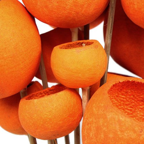 Floristik24 Bell Cup Mix em palito laranja 15 un