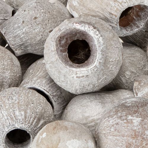 Itens Bellgums caiados 2cm - 5cm 500g