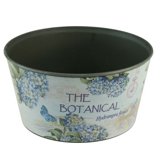 Floristik24 Vaso para flores de hortênsias redondo de plástico Ø21cm Alt.11cm