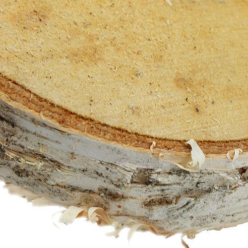 Fatias de bétula redondas naturais 10 peças