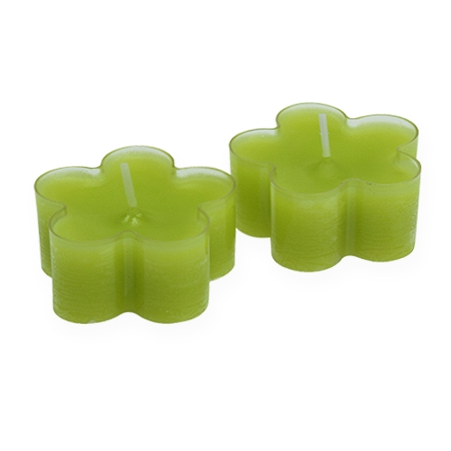 Floristik24 Tealight em forma de flor verde Ø5cm 12pcs