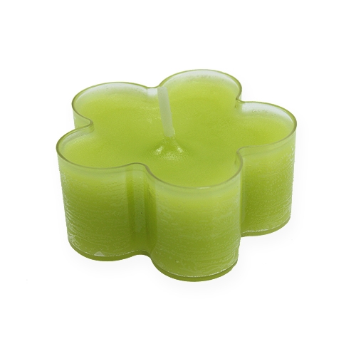 Floristik24 Tealight em forma de flor verde Ø5cm 12pcs