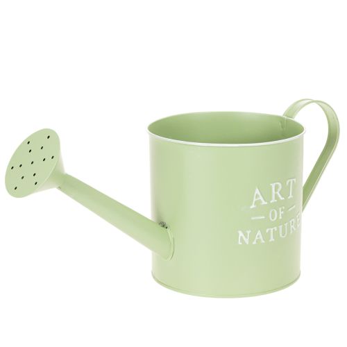 Vaso de flores, regador decorativo, floreira de zinco verde menta, Ø16,5 cm comprar | Floristik24.pt