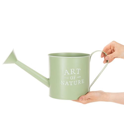 Vaso de flores, regador decorativo, floreira de zinco verde menta, Ø16,5 cm | Floristik24.pt