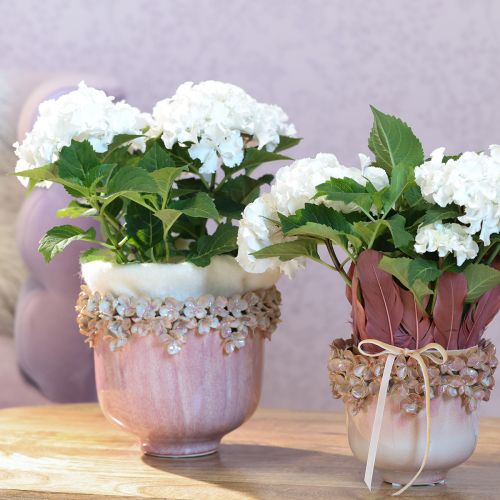 Itens Vaso Cerâmico com Borda de Flor Rosa Ø19cm H16.5cm