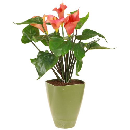 Itens Vaso de orquídea vaso de flores vaso de plástico verde Alt.16,5cm 4 unidades