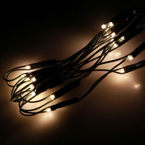 Floristik24 Rede de luz exterior de luzes de fada de buxo 60 LED Ø35cm