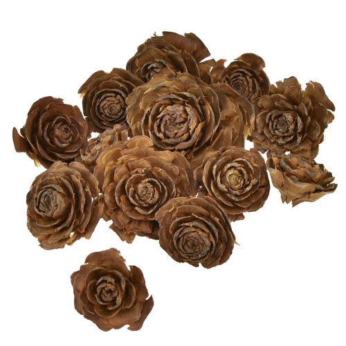 Itens Cones de cedro cortados em forma de rosa cedro rosa 4-6cm natural 50 un
