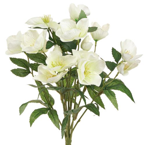 Floristik24 Buquê de rosas de natal 39cm creme