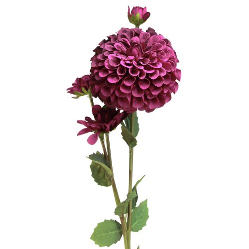 Itens Flores artificiais dália com flores roxas Ø10cm C80cm 2 unidades