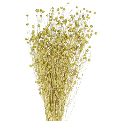 Deco Linho Flores Secas Secas Verde Oliva 50g