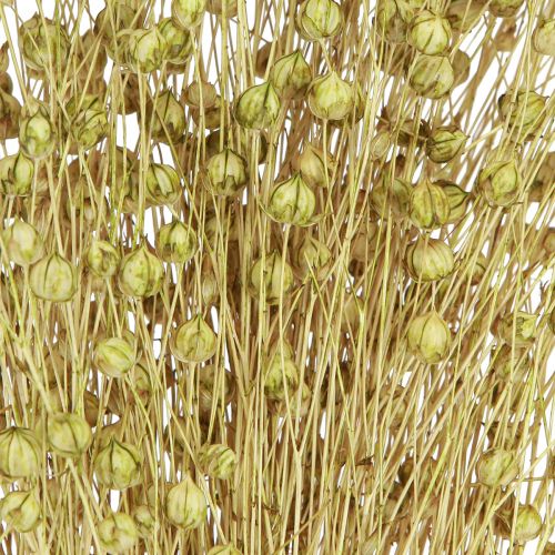 Itens Deco Linho Flores Secas Secas Verde Oliva 50g