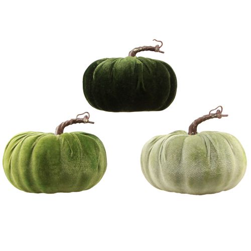 Itens Abóbora decorativa verde outono verde escuro verde claro Ø18cm 3 unidades