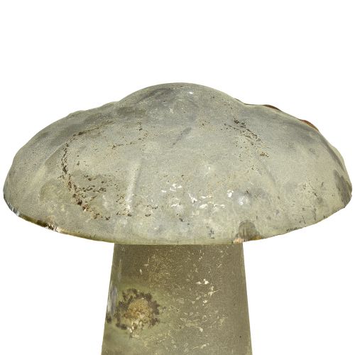 Floristik24 Cogumelo Decorativo Metal Outono Verde Ferrugem Vintage 30cmx50cm