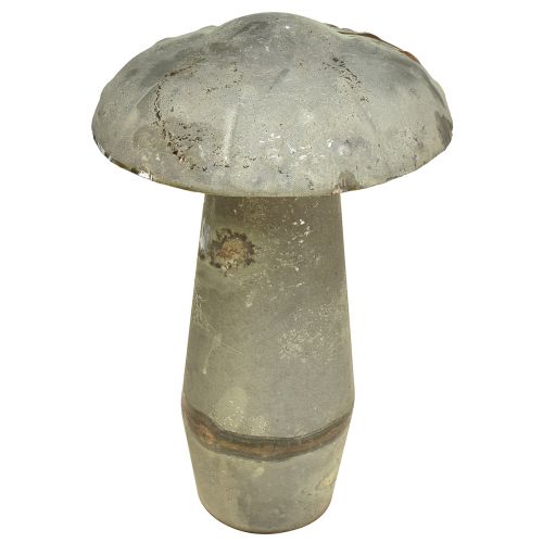 Floristik24 Cogumelo Decorativo Metal Outono Verde Ferrugem Vintage 30cmx50cm