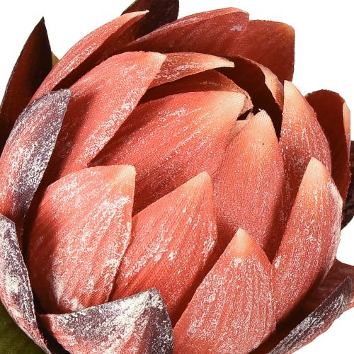 Itens Flores artificiais decorativas Protea vermelho-laranja 34cm 3 unidades
