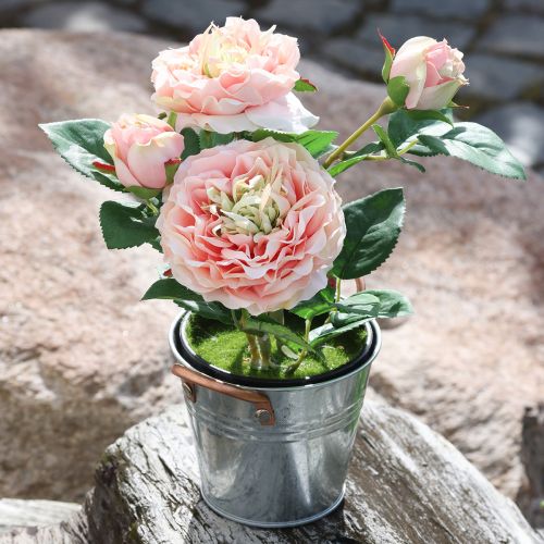 Floristik24 Rosa decorativa em vaso, flores de seda românticas, peônia rosa