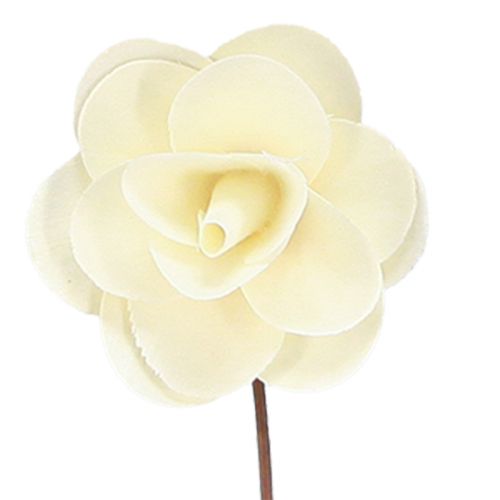 Rosas decorativas creme rosas artificiais de madeira Ø7cm 12 unid.