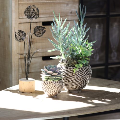 Itens Tigela Decorativa Vaso Cerâmica Bege Marrom Ø15cm 2pcs