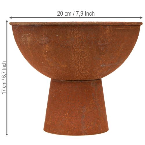 Itens Tigela decorativa com pé, taça, metal cor ferrugem, Ø20,5cm, 2 peças