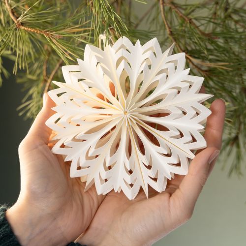 Itens Elegantes flocos de neve de papel para decoração de inverno e Natal.