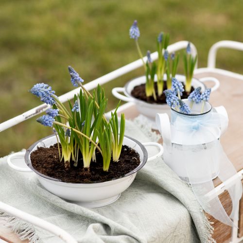Floristik24 Tigela Decorativa Metal em Branco Preto Vintage Ø20.5cm 3pcs