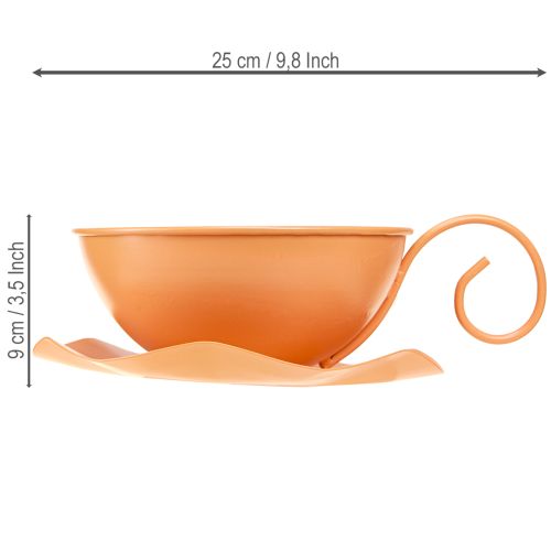 Itens Xícara decorativa Ø16cm A9cm com prato de metal, laranja, 2 peças