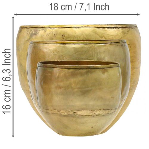 Conjunto de 3 vasos decorativos em metal com aparência de latão, Ø18/15/12,5 cm. | Floristik24.pt