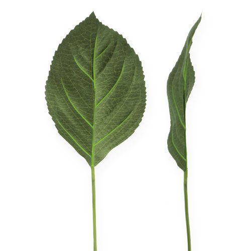 Floristik24 Folha de hortênsia, folha deco L31cm 26p